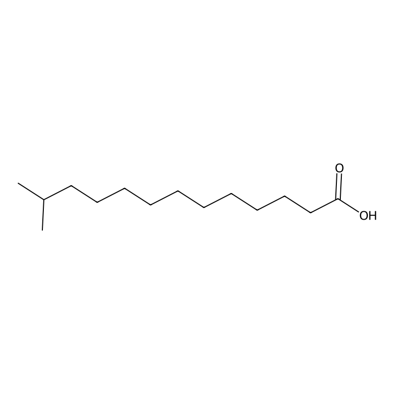 12-Methyltridecanoic acid