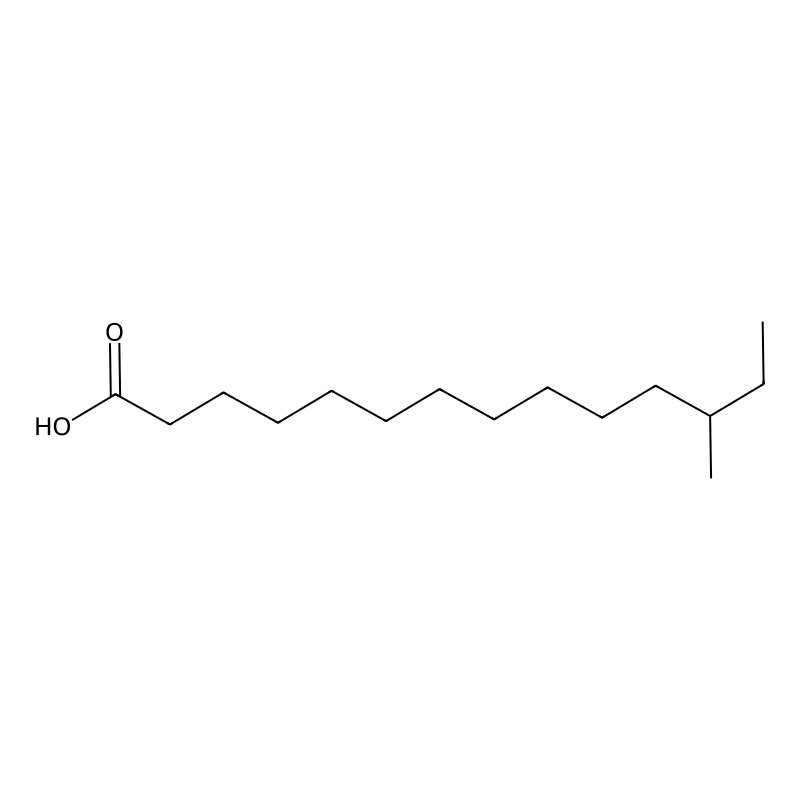 12-Methyltetradecanoic acid