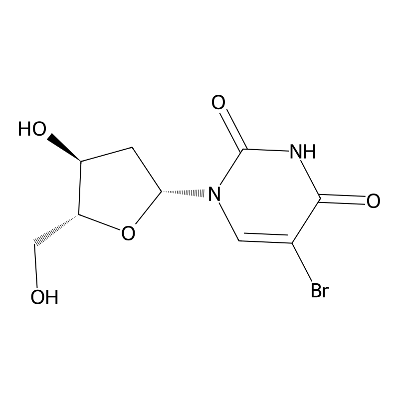 5-Bromo-2'-deoxyuridine