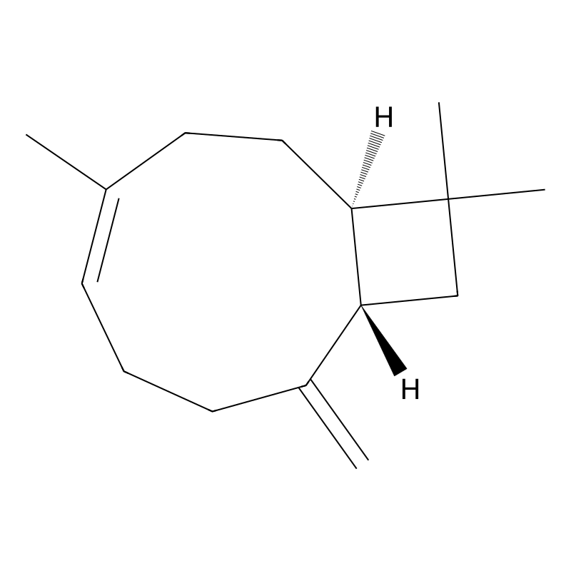 beta-Caryophyllene