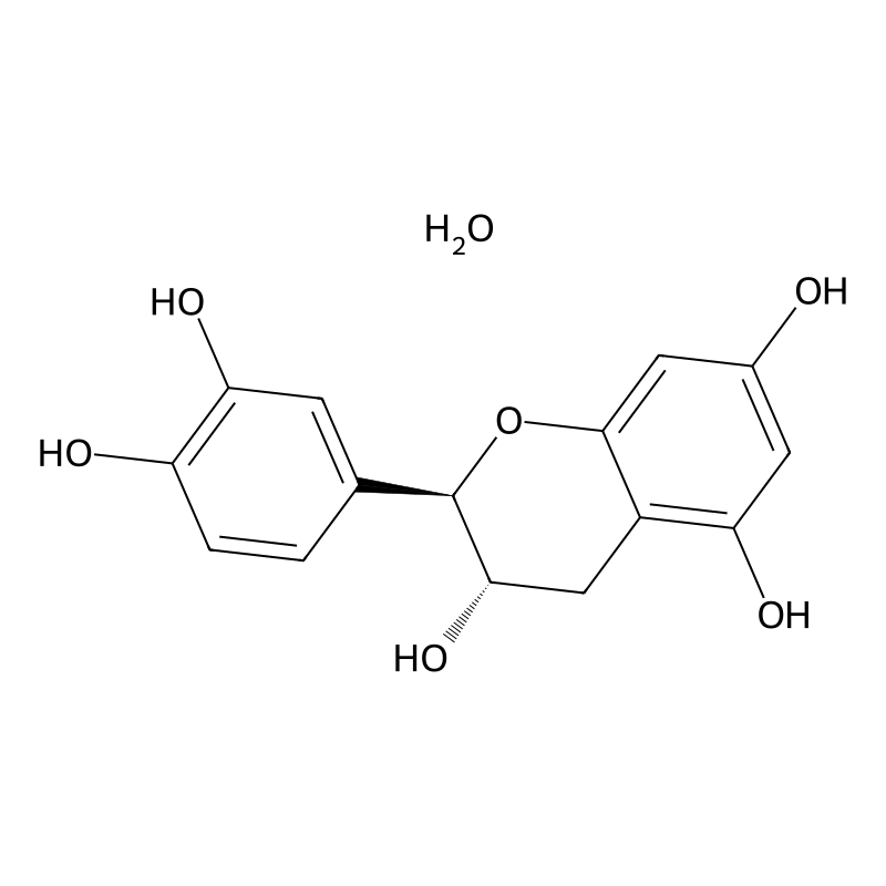 (+)-Catechin Hydrate