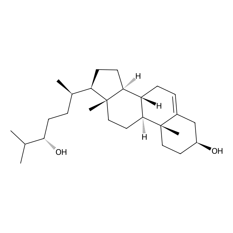 24(S)-hydroxycholesterol