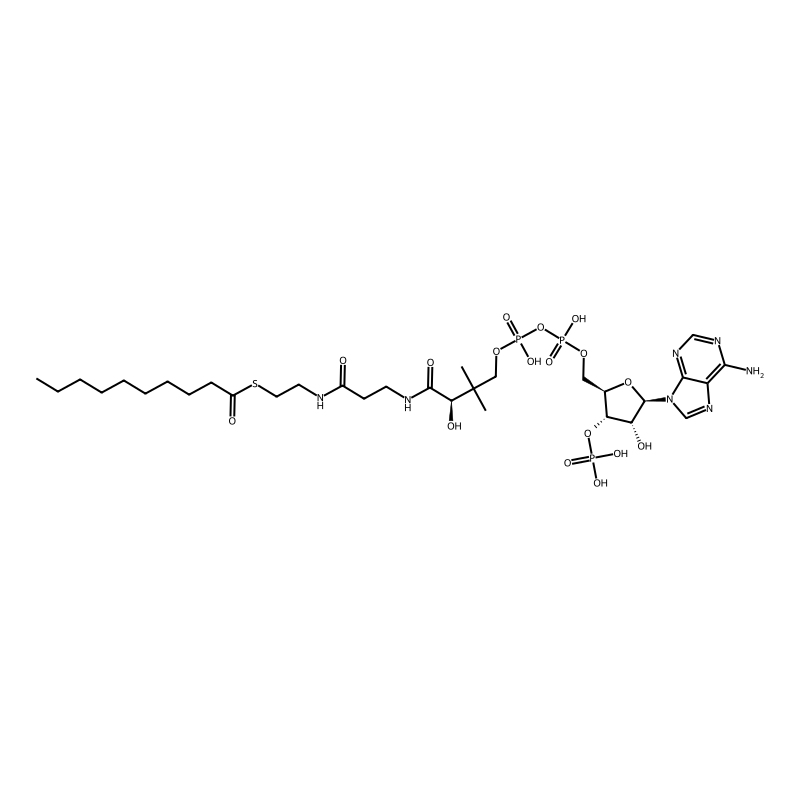 Decanoyl-coa