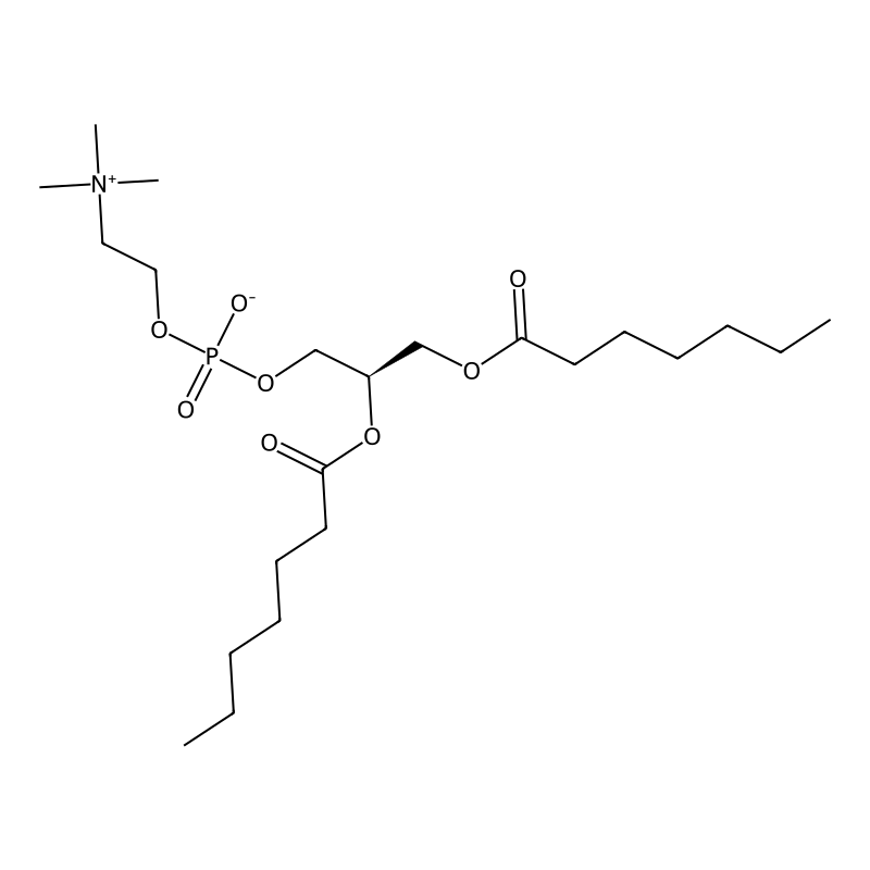 1,2-Diheptanoyl-sn-glycero-3-phosphocholine