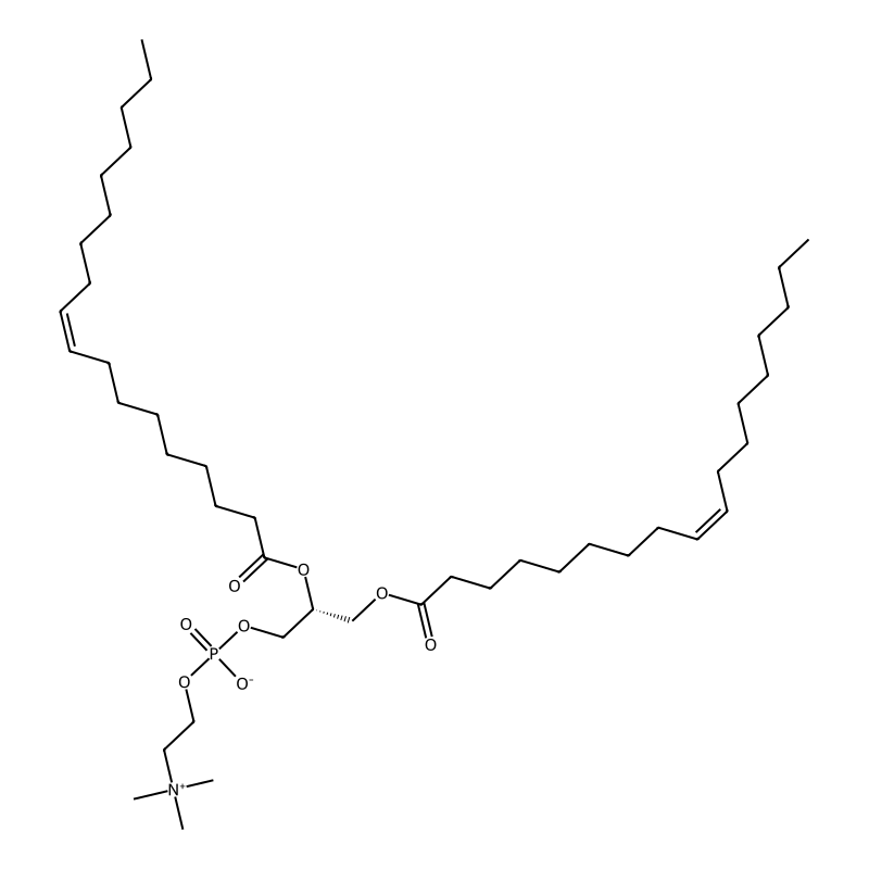 1,2-Dioleoyl-sn-Glycero-3-Phosphocholine