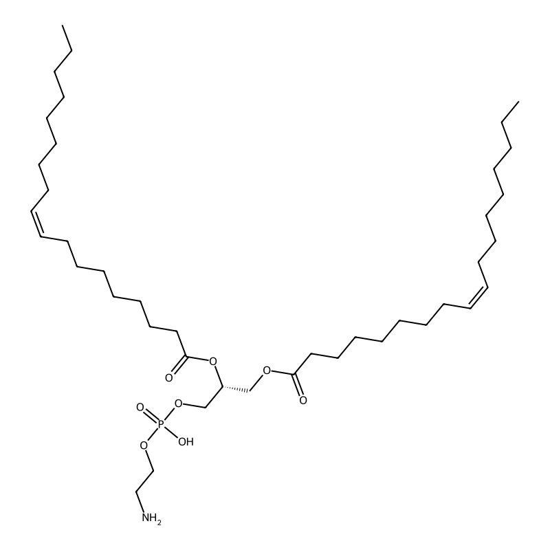 1,2-Dioleoyl-sn-glycero-3-phosphoethanolamine