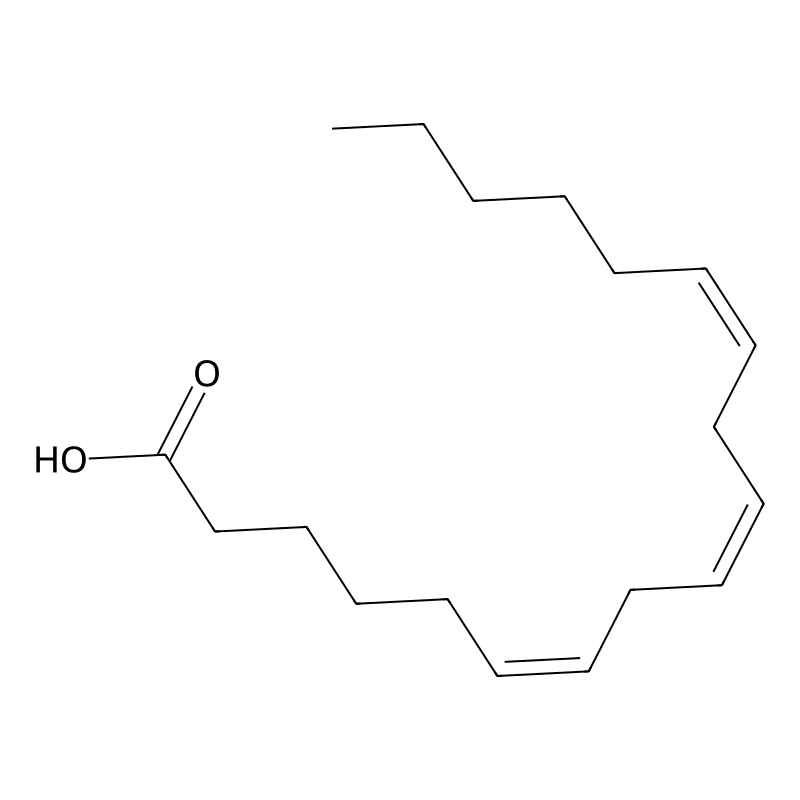 gamma-Linolenic acid