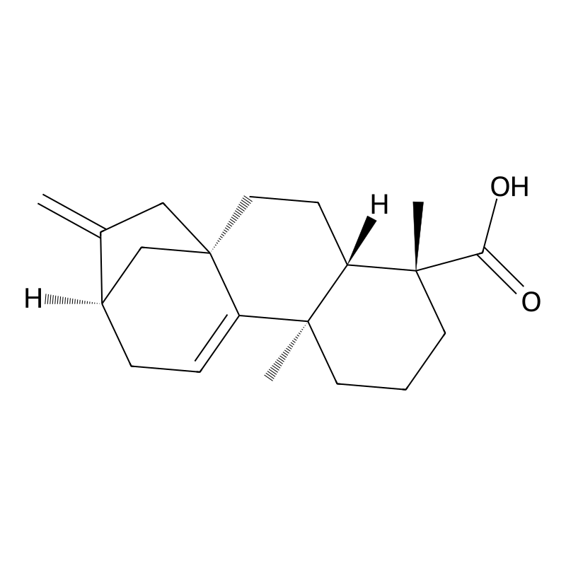 (4S,5R,9R)-5,9-dimethyl-14-methylidenetetracyclo[11.2.1.01,10.04,9]hexadec-10-ene-5-carboxylic acid