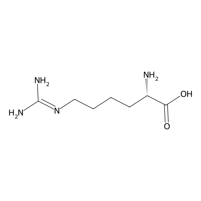 L-Homoarginine