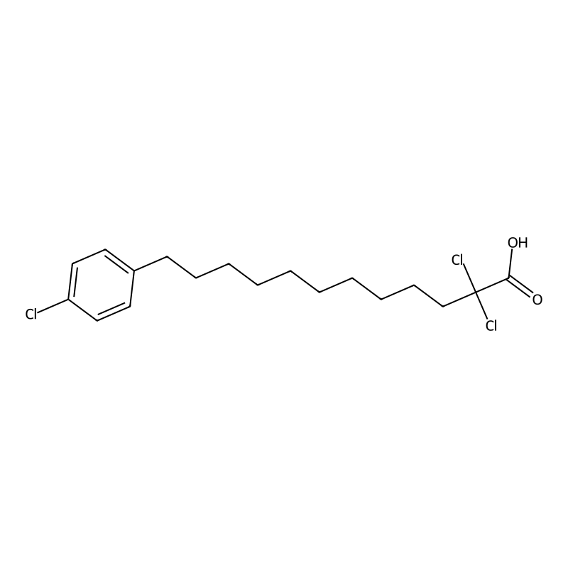 2,2-Dichloro-12-(4-chlorophenyl)dodecanoic acid