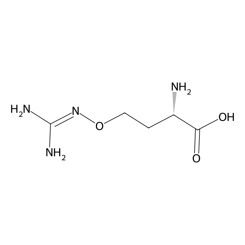 L-canavanine