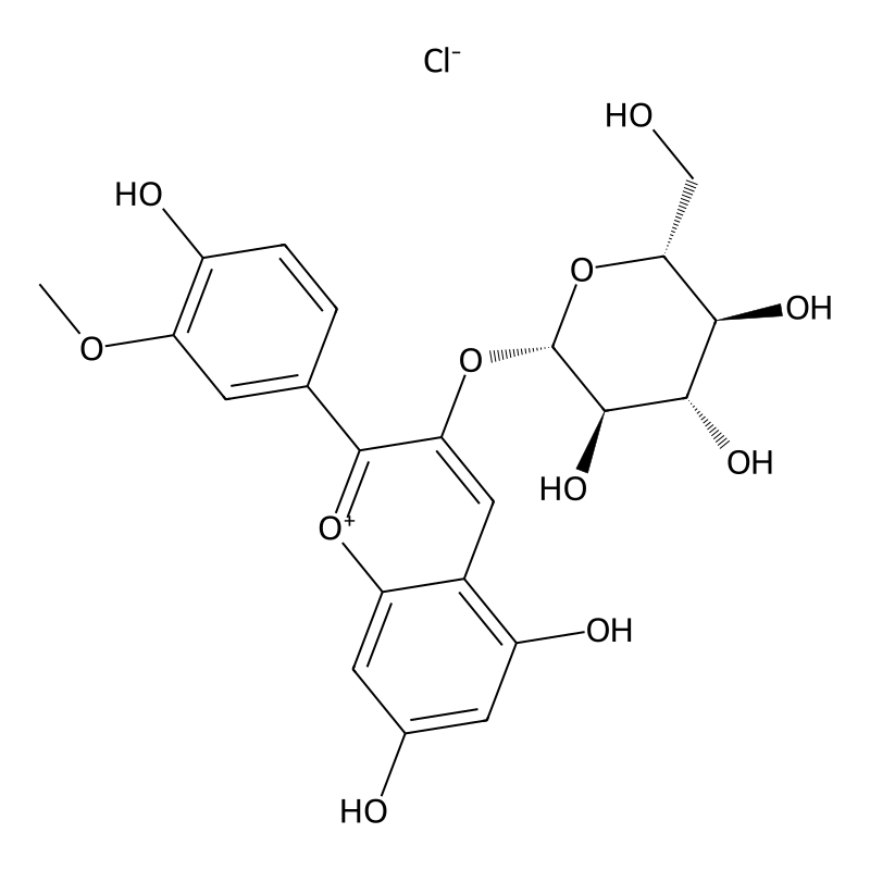 Peonidin 3-monoglucoside