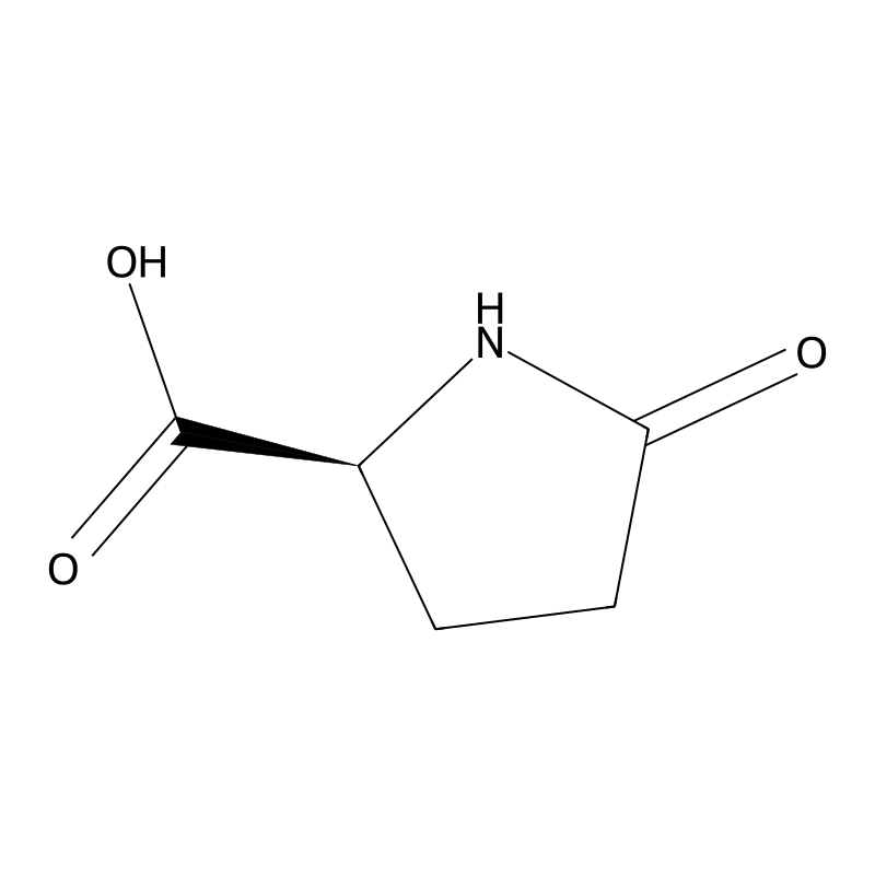 L-Pyroglutamic acid