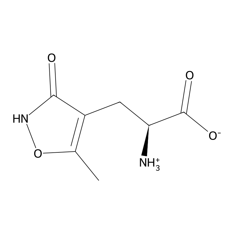 (S)-Ampa