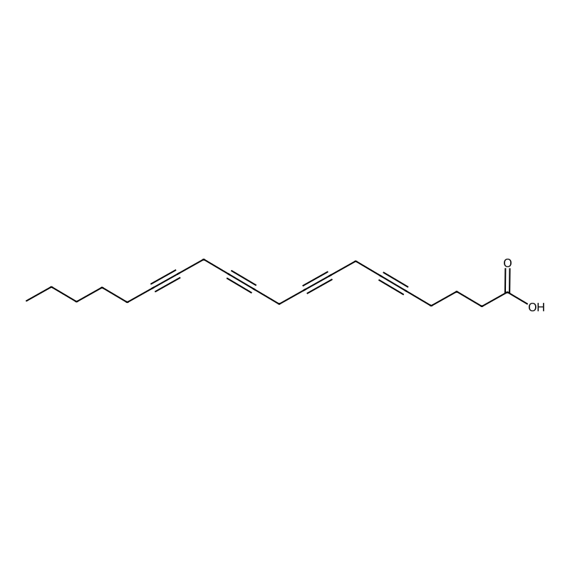 5,8,11,14-Eicosatetraynoic acid