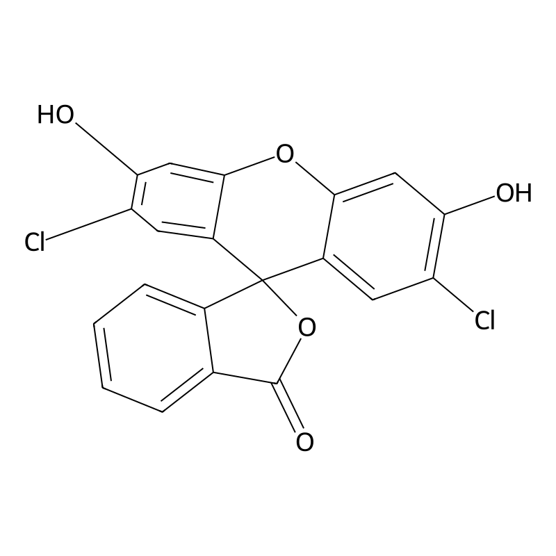 2',7'-Dichlorofluorescein