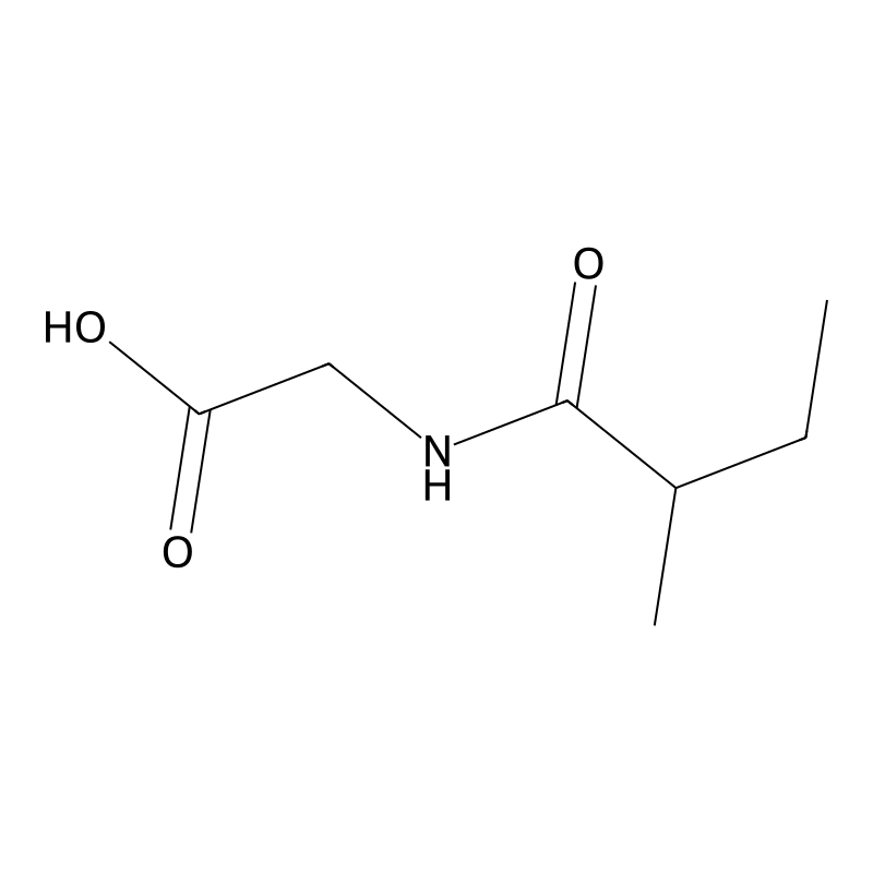 2-Methylbutyrylglycine