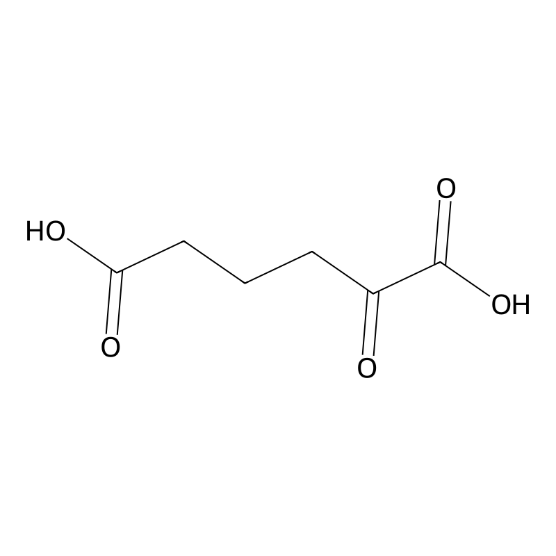 2-Oxoadipic acid