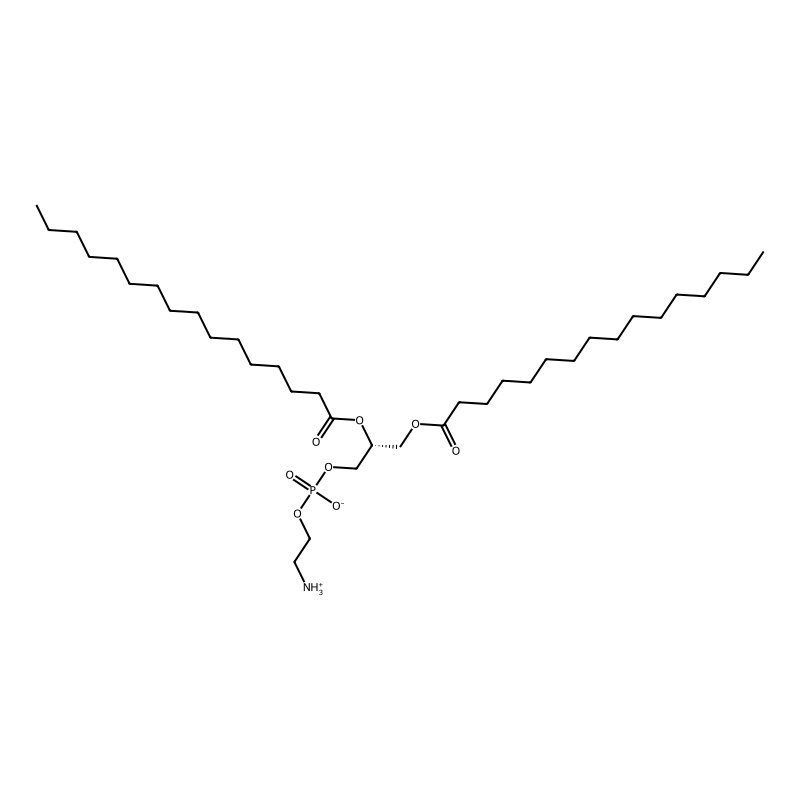 1,2-Dipalmitoyl-sn-glycero-3-phosphoethanolamine