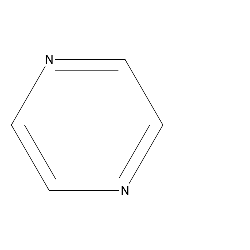 2-Methylpyrazine