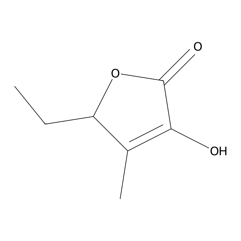 5-Ethyl-3-hydroxy-4-methylfuran-2(5H)-one