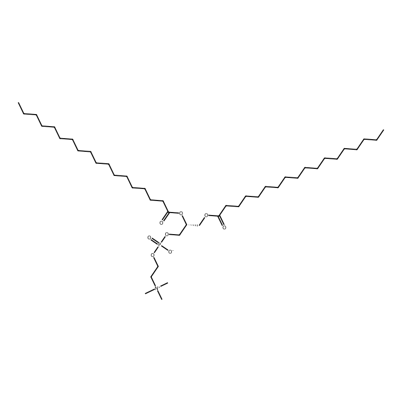 1,2-Distearoyl-sn-glycero-3-phosphocholine