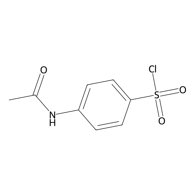 N-Acetylsulfanilyl chloride