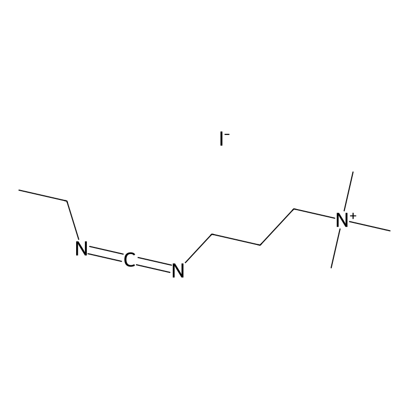 1-(3-DIMETHYLAMINOPROPYL)-3-ETHYLCARBODIIMIDE METHIODIDE