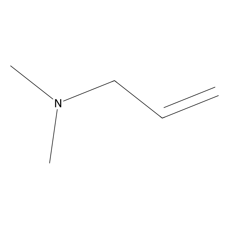 N,N-Dimethylallylamine