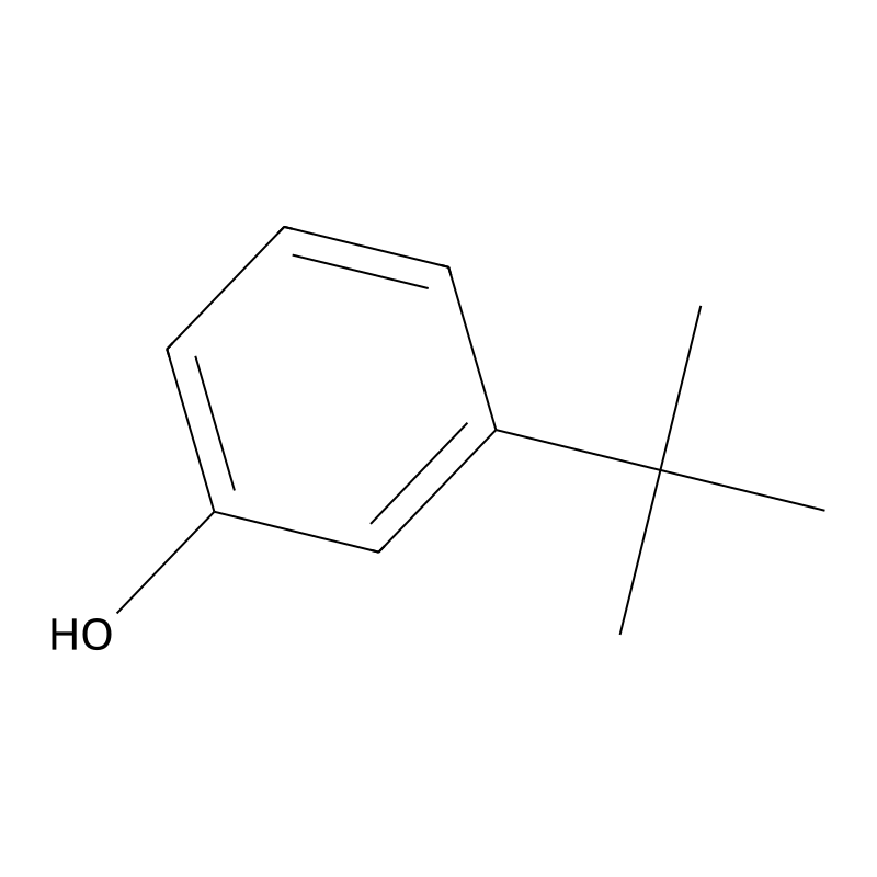 3-tert-Butylphenol