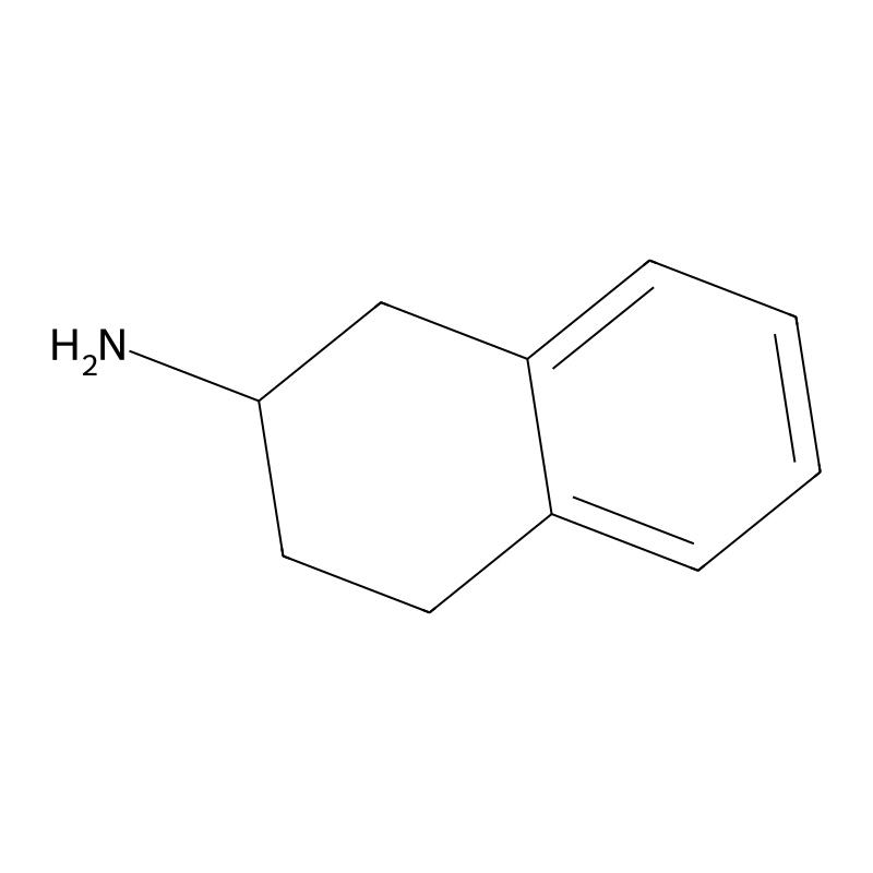 1,2,3,4-Tetrahydro-2-naphthylamine