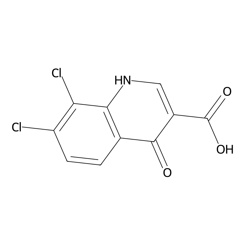 7,8-dichloro-4-oxo-1H-quinoline-3-carboxylic Acid