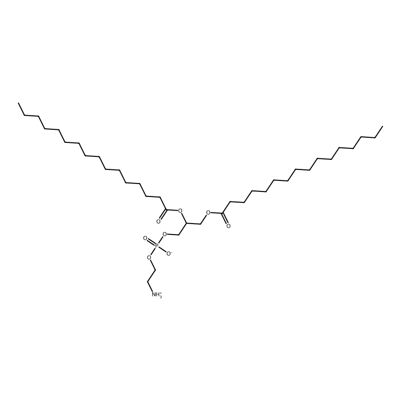 1,2-Dihexadecanoyl-rac-glycero-3-phosphoethanolamine