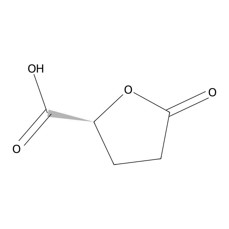 (R)-5-Oxotetrahydrofuran-2-carboxylic acid