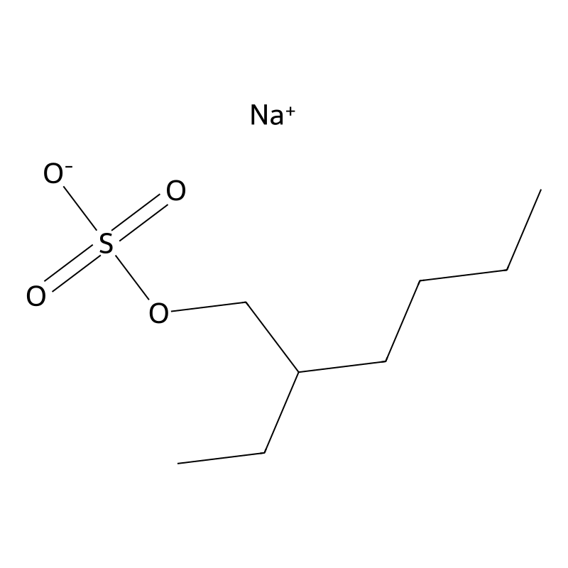 Sodium 2-ethylhexyl sulfate