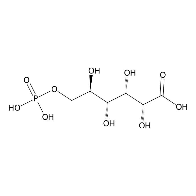 6-Phosphogluconic acid