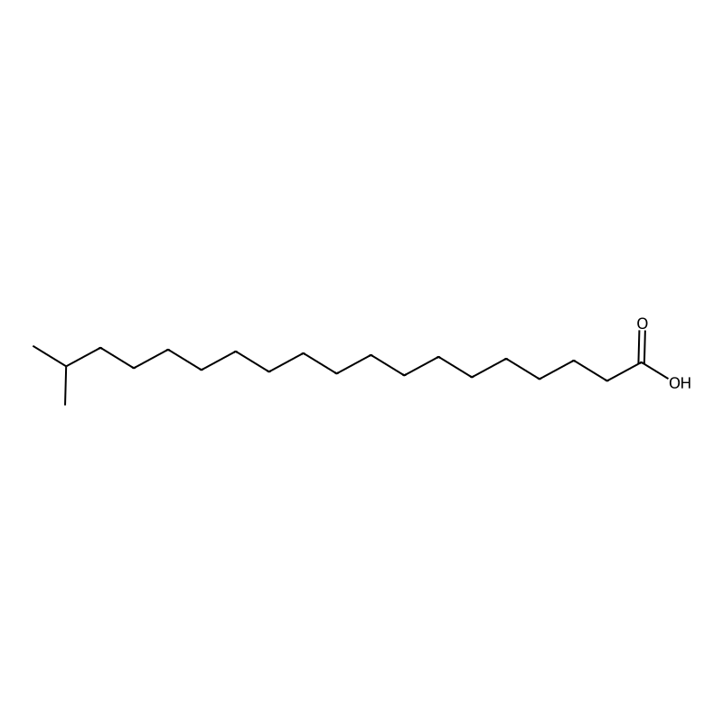 18-Methylnonadecanoic acid