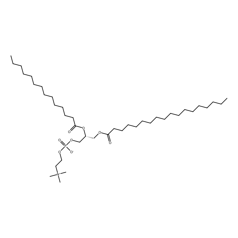 1-Stearoyl-2-myristoyl-sn-glycero-3-phosphocholine