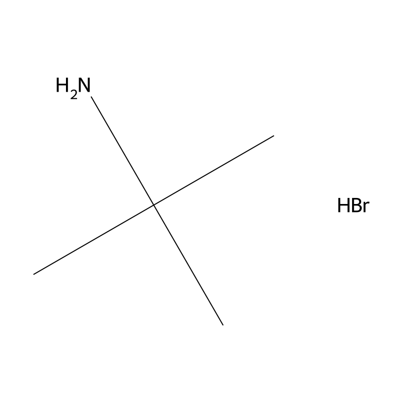 tert-Butylamine hydrobromide