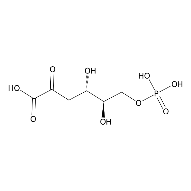 3-Deoxy-D-erythro-hex-2-ulosonic acid 6-phosphate