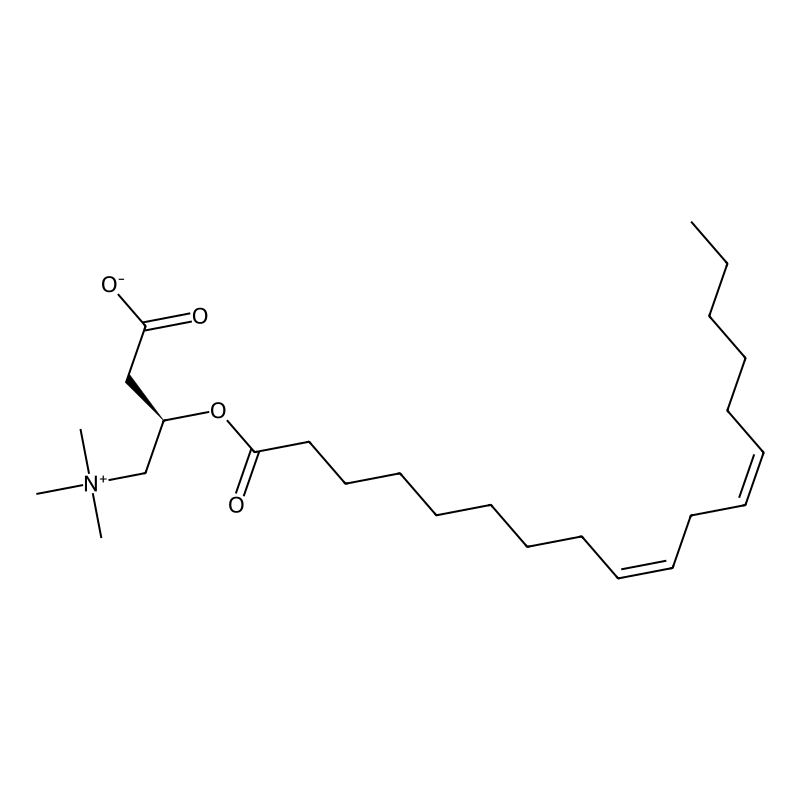 O-linoleyl-L-carnitine