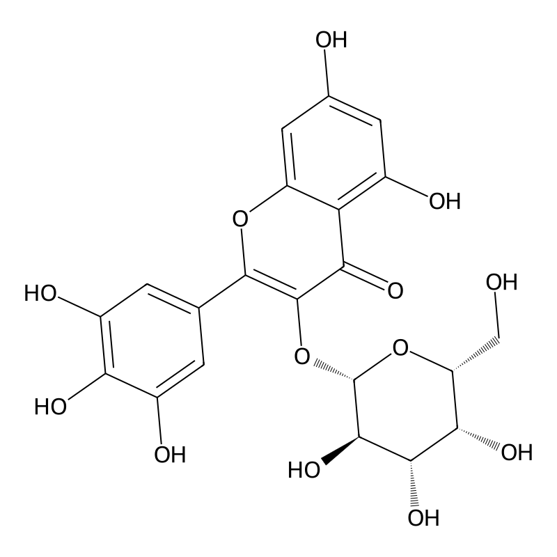 Myricetin 3-O-galactoside