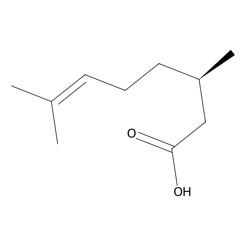 (R)-(+)-Citronellic acid