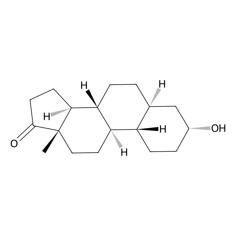 19-Norandrosterone