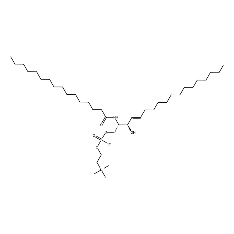 N-Palmitoylsphingomyelin