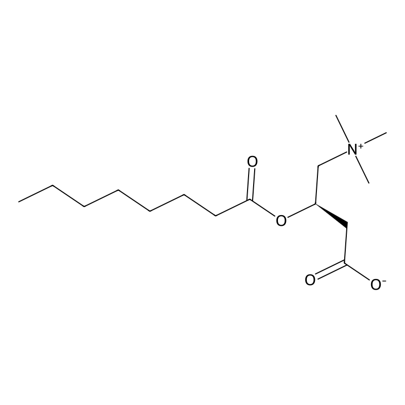 L-Octanoylcarnitine