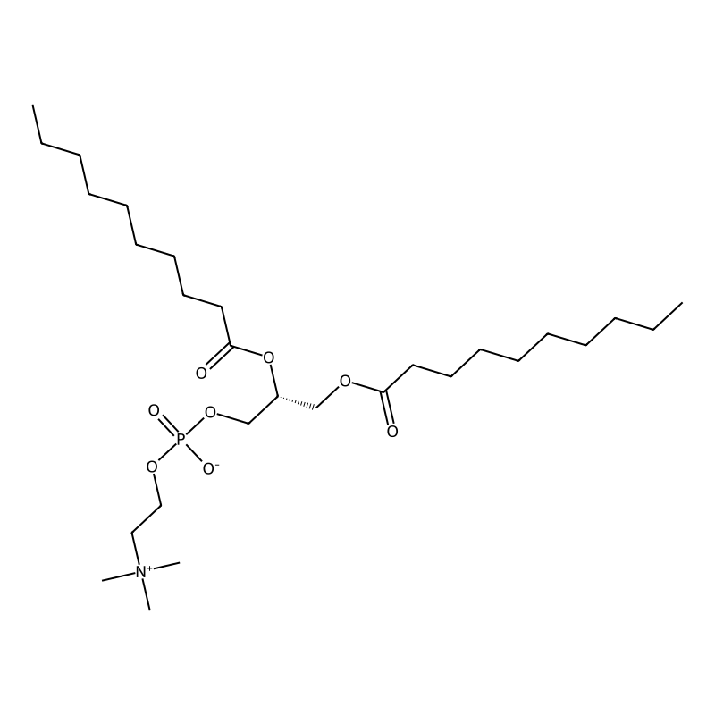 1,2-Didecanoyl-sn-glycero-3-phosphocholine