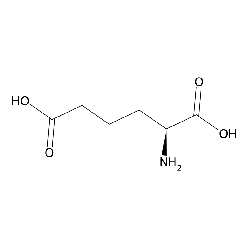 L-2-Aminoadipic acid