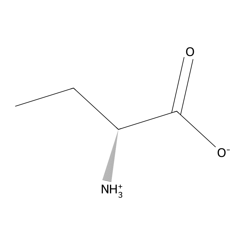 D-2-Aminobutyric acid