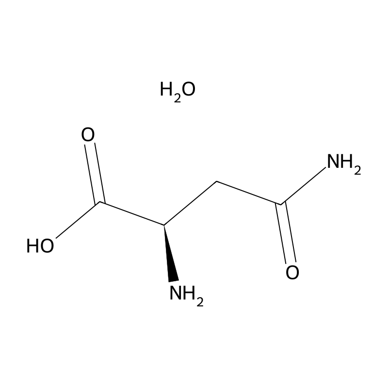 D-Asparagine monohydrate